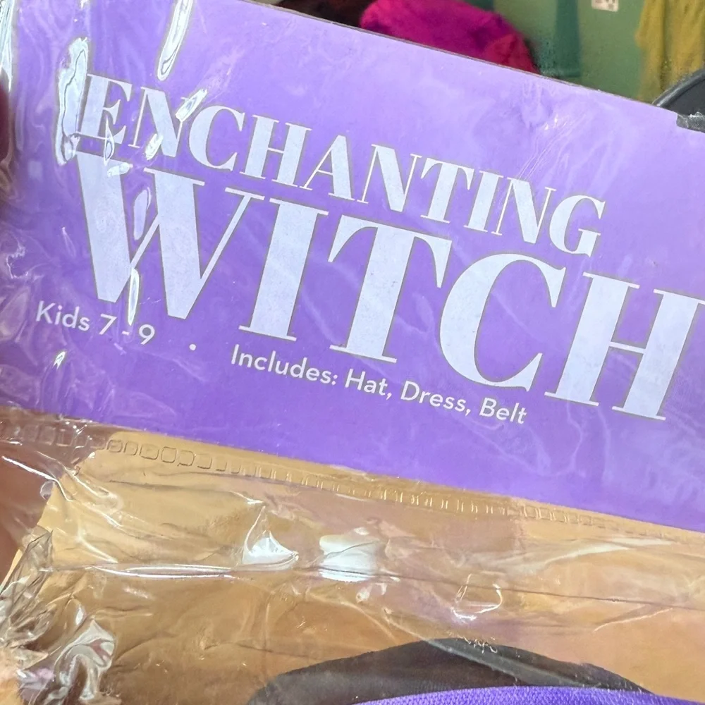 Boo! Inc. Enchanting Witch Costume Girls Size 7-9‎ Dress & Hat Halloween